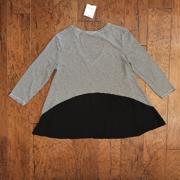 NWT Zara W/B Collection top | S - Picture 5 of 5